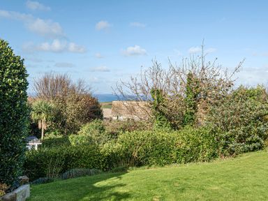 A garden with grass and trees at Sunset View in Porth