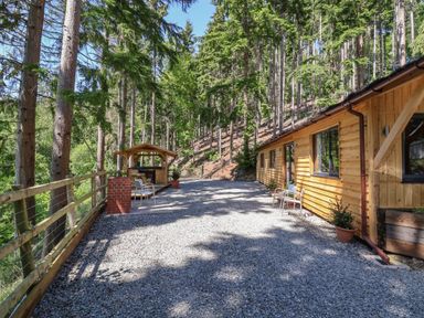 An outdoor area with a wooden cabin on one side a gravel ground and a fenced forest at Lady Bagots Cabin in Ruthin
