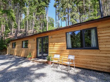 A wooden cabin exterior with glass doors two metal chairs and surrounding forest at Lady Bagots Cabin in Ruthin
