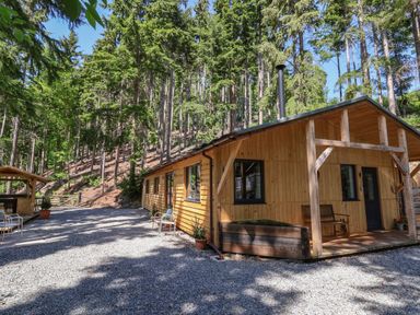 An outdoor area with a wooden cabin surrounded by tall trees and gravel ground at Lady Bagots Cabin in Ruthin