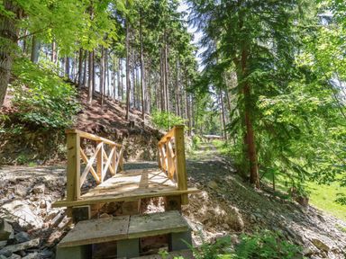 A wooden footbridge over a small ditch on a forest path surrounded by tall trees at Lady Bagots Cabin in Ruthin