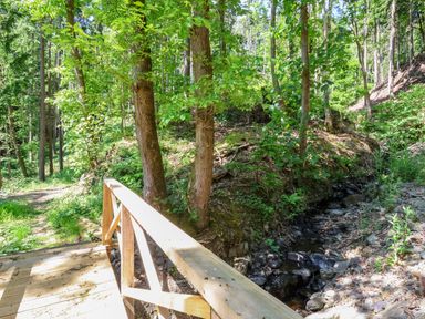 A wooden bridge over a small rocky stream in a forest at Lady Bagots Cabin in Ruthin