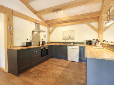 A kitchen with appliances and wooden countertops at Lady Bagots Cabin in Ruthin