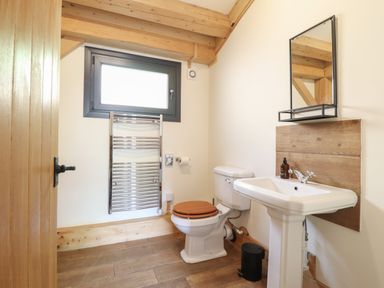 A bathroom with a sink and toilet at Lady Bagots Cabin in Ruthin