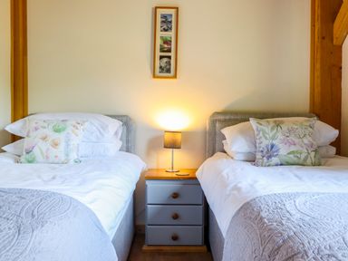 A bedroom with two beds and a nightstand at Lady Bagots Cabin Ruthin