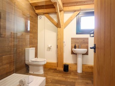 A bathroom with shower, toilet, and sink at Lady Bagots Cabin Ruthin