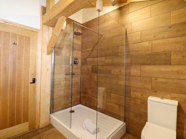 A bathroom with a shower and toilet at Lady Bagots Cabin in Ruthin
