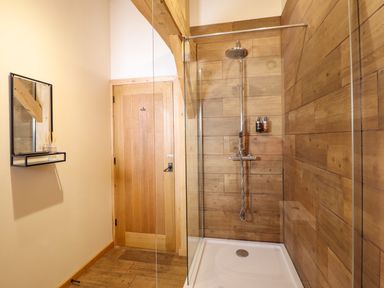 A bathroom with a shower and mirror at Lady Bagots Cabin in Ruthin
