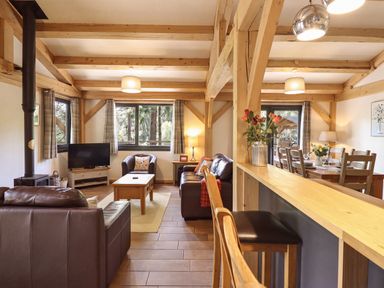 A living room with furniture and windows at Lady Bagots Cabin Ruthin