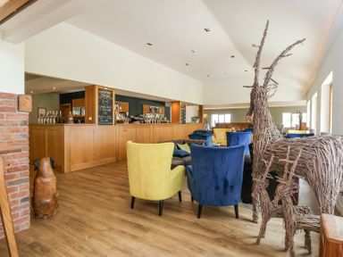 Interior of a bar area with wooden flooring seating in blue and yellow chairs and wicker animal sculptures at Callow Lodge 22 in Beaconsfield Holiday Park