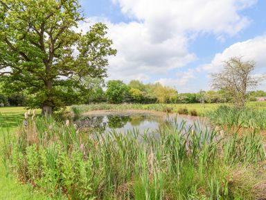 A small pond surrounded by tall grass and trees in a green field at Callow Lodge 22 in Beaconsfield Holiday Park