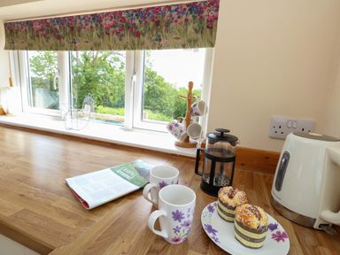A kitchen with cups, a kettle, and cake at Mallows Byre in Yetminster