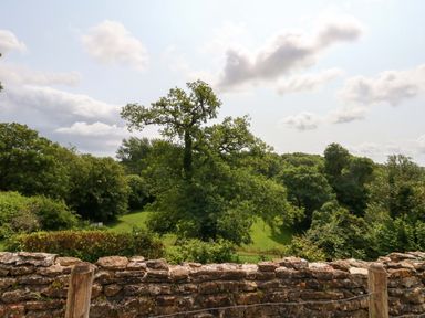 A view of trees and grass with a stone wall at Mallows Byre in Yetminster
