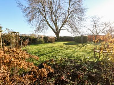 A garden with a large tree a grass lawn a wooden chair and a metal frame at The Ramblers Annex in Mattishall