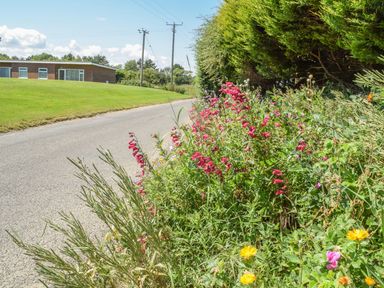 A narrow road with wildflowers and bushes along the side and a low building on a grassy hill at 20 Siesta Mar in Mundesley