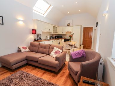 An open plan living room and kitchen with a sofa armchair dining table and wooden floor at Laharn Cottage in Killorglin County Kerry