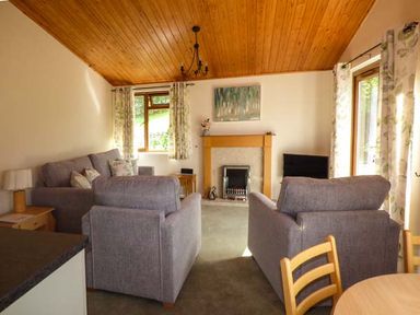 A living room with grey sofas a fireplace a wooden ceiling and curtains at South Lodge in Kendal