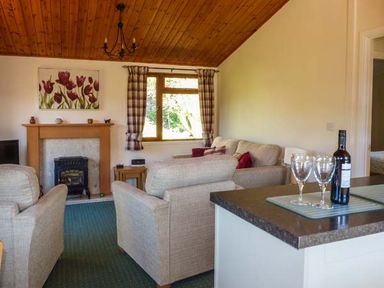 A living room with beige sofas a fireplace and a kitchen counter with wine glasses and a bottle at North Lodge in Kendal