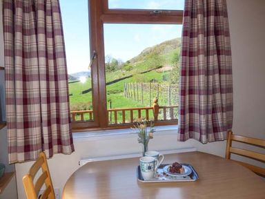 A dining table with two mugs and a plate of cakes near a window with plaid curtains overlooking a green hillside at North Lodge in Kendal