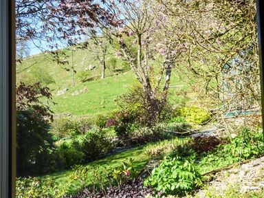 A garden with trees and shrubs seen through a window at North Lodge in Kendal