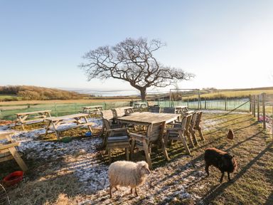 An outdoor area with wooden picnic tables chairs sheep and a chicken in a fenced field at The Granary Loft in Bardsea
