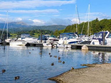 A marina with boats docked and ducks swimming in the water at Coniston Number 9 in White Cross Bay