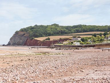 A rocky beach with cliffs and houses near fields and trees at Tus Nua Cottage in Carhampton