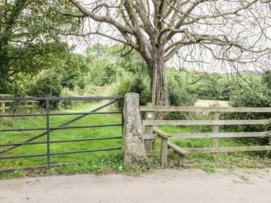 A grassy path behind a metal gate and a wooden fence with a stile next to a large tree at Lowdale Barns East in Sleights