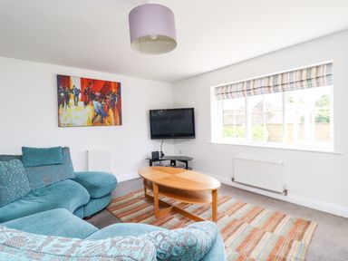 A living room with blue sofas a wooden coffee table a striped rug a wall-mounted television and a window at 8 Pottergate Mews in Helmsley