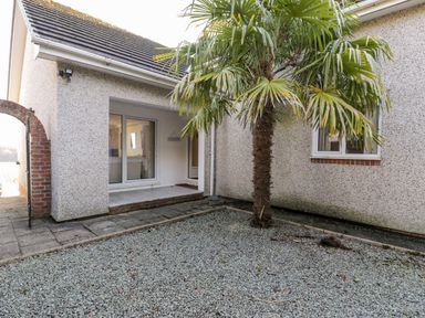 A courtyard with a palm tree and gravel next to a building with a sliding glass door and a small window at 11 Glyn Garth Mews in Llandegfan near Beaumaris