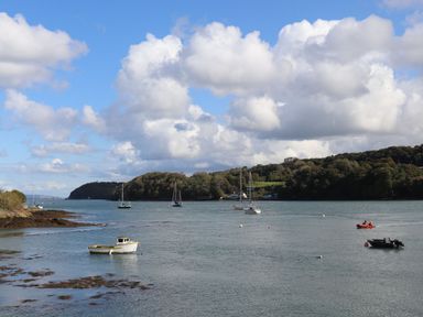 A body of water with several boats and sailboats near a shoreline with trees at 11 Glyn Garth Mews in Llandegfan near Beaumaris