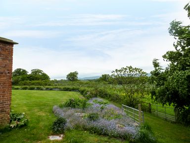 A garden with a flower bed next to a brick building and a metal gate leading to a field at The Packing House in Hanley Castle near Malvern