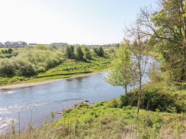 A river flowing through green trees and grassy banks at Victoria Cottage in Norham