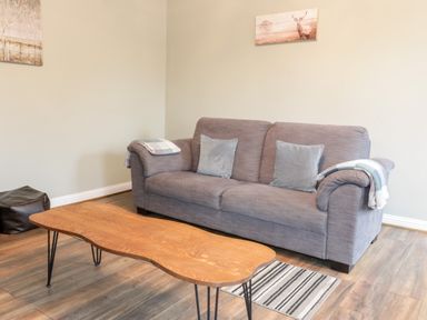 A living room with a gray sofa a wooden coffee table a striped rug and wall art at Victoria Cottage in Norham