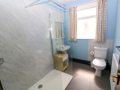 A bathroom with a shower, sink, and toilet at White Thorns in Haverfordwest