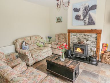 A living room with floral sofas a wooden chest coffee table a fireplace and animal art at Shandrum Brook in Charleville