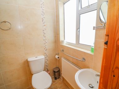 A bathroom with a toilet and sink alongside a window and radiator at Shandrum Brook in Charleville