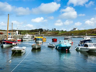 A harbor with several moored boats and houses on a hillside at The Old Post Office 23 High Street Cemaes Bay