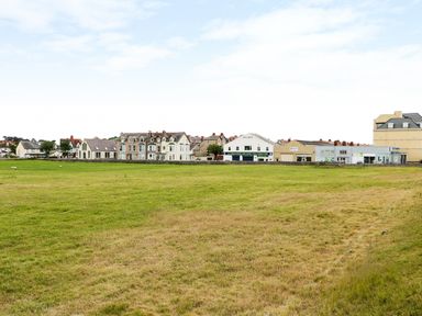 A grassy field with sheep and buildings in the background at Little Orme View in Llandudno