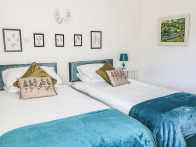 A bedroom with two single beds with blue throws and decorative pillows with plant designs at Beulah Cottage in Green Bottom near Littledean