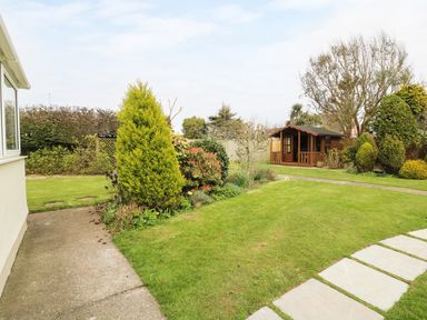 A garden with a lawn a wooden shed bushes and a paved pathway at The Elms in Milford Haven