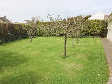 A garden with trimmed grass and five leafless trees surrounded by hedges at The Elms in Milford Haven