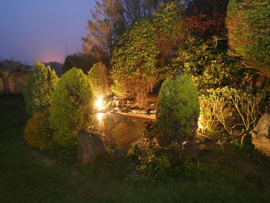An outdoor garden area with small trees and shrubs around a pond with lights at The Elms in Milford Haven