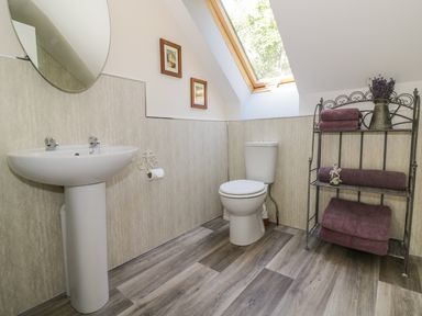 A bathroom with a pedestal sink a toilet a metal shelf holding purple towels and a window in the ceiling at Squirrels Drey in Little Dunham near Litcham