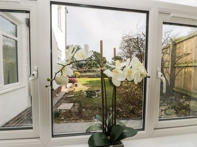 A white orchid plant on a windowsill with a garden view at Manor Heath Apartment 1 in Scarborough