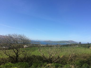 A landscape view of green fields and leafless trees with water and hills in the background under a clear blue sky at The Slate House in Cahersiveen County Kerry