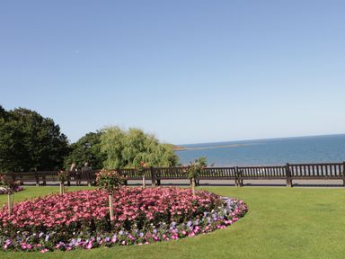 A flower bed with pink and purple flowers and small trees on a lawn near benches and the sea at Flip Flops The Bay near Filey