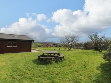 A grassy garden with a wooden round picnic table and two leafless trees near a brown wooden building at Chywolow Lodge in Penzance