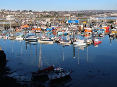 A harbor with many boats and fishing vessels docked near a coastal town at Chywolow Lodge in Penzance