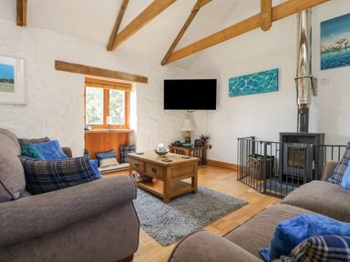 A living room with two sofas blue cushions a wooden coffee table a rug a wood-burning stove and a wall-mounted TV at Mill in Nancegollan nr Porthleven